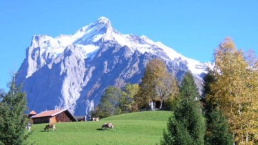 スイスアルプスの情景